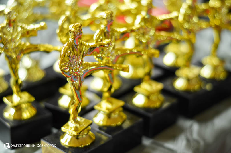 Солигорск таэквондо титан