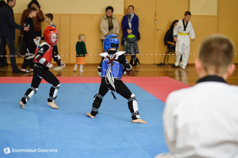 Солигорск таэквондо титан