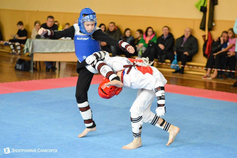 Солигорск таэквондо титан
