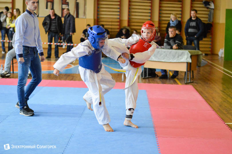 Солигорск таэквондо титан