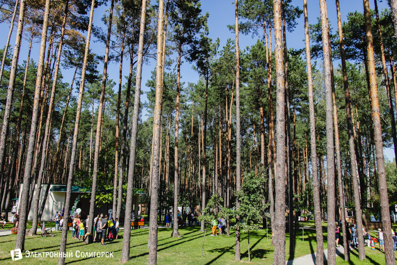 кафе Т.Чинофф Солигорск