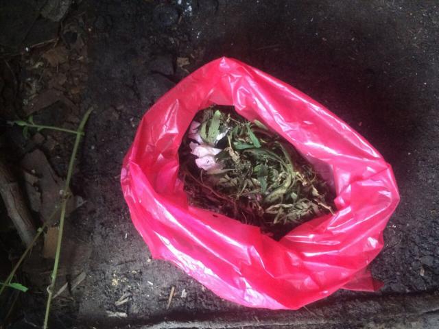 марихуана Слуцк