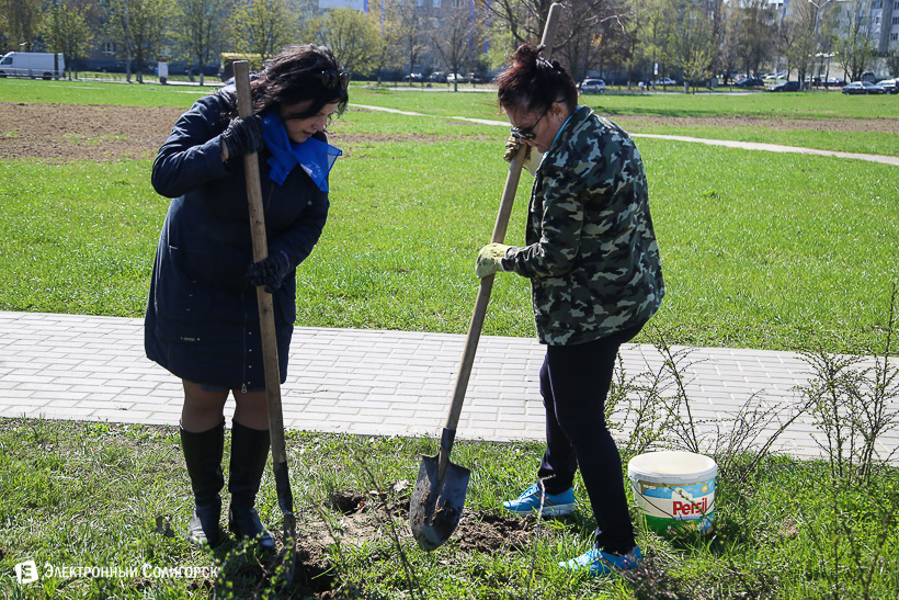 субботник аллея матери