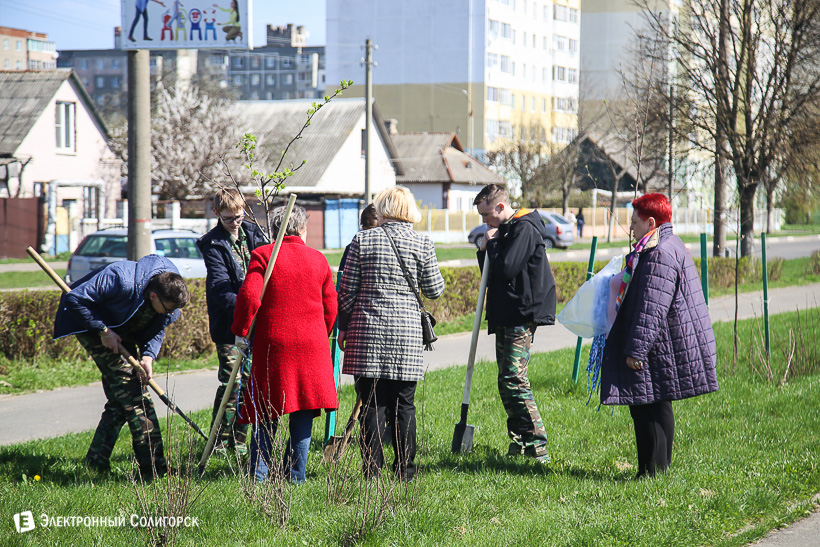 субботник аллея матери