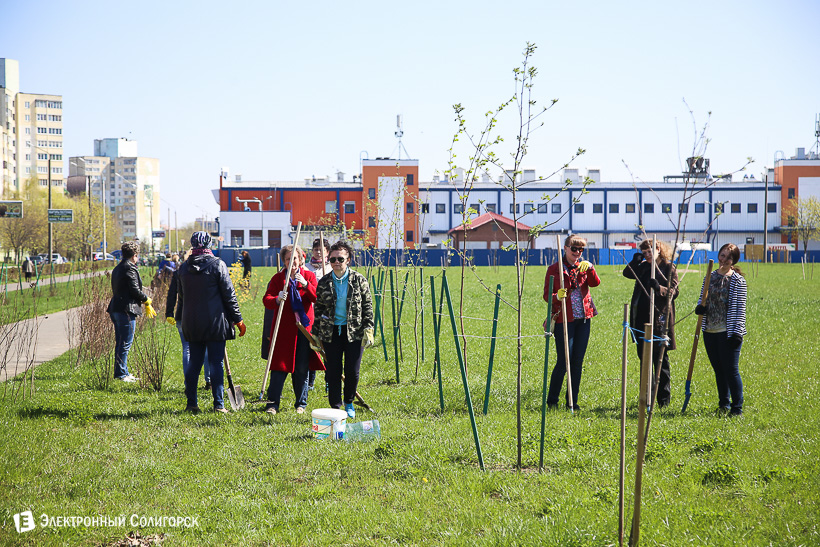субботник аллея матери