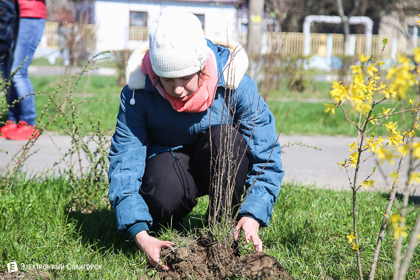 субботник аллея матери