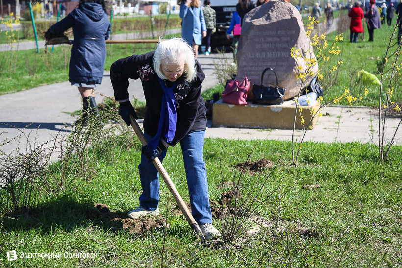 субботник аллея матери
