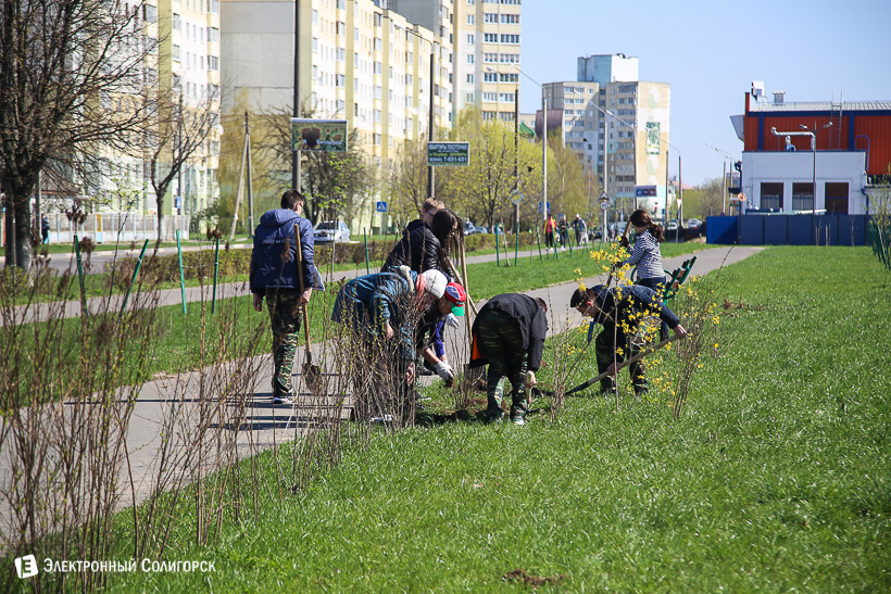 субботник аллея матери