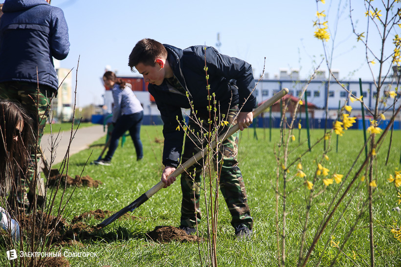 субботник аллея матери