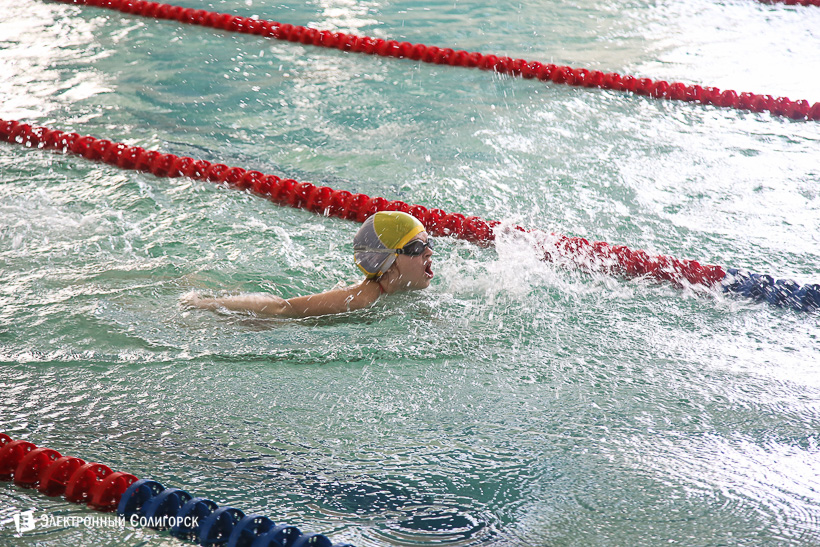 соревнования по плаванию
