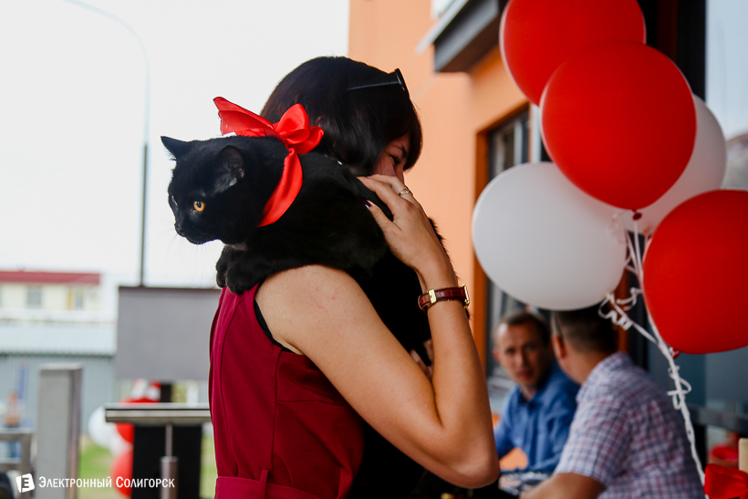 дск солигорск дом коммунальная улица