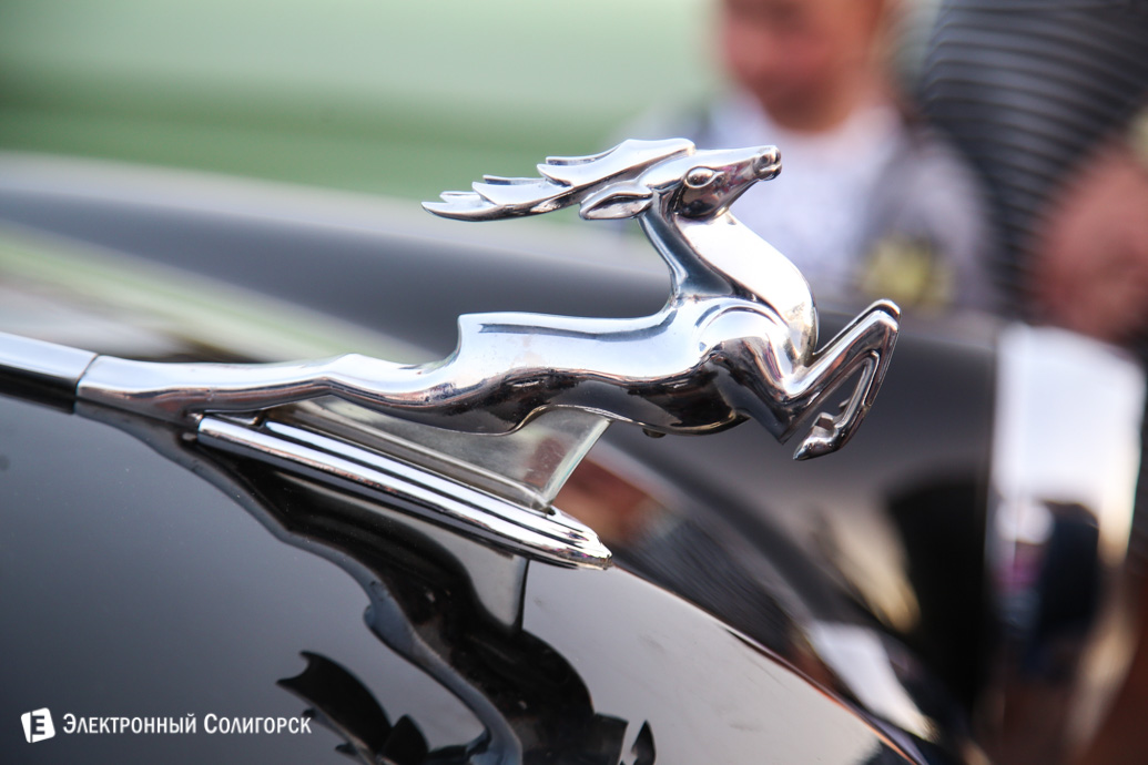 концерт площадь солигорск