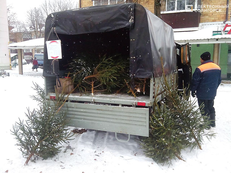 елочный базар солигорск