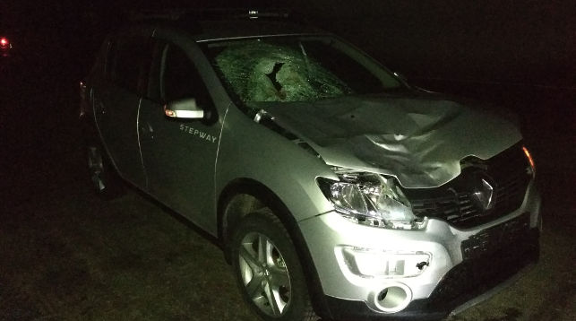 Петриков автомобиль насмерть сбил пешехода