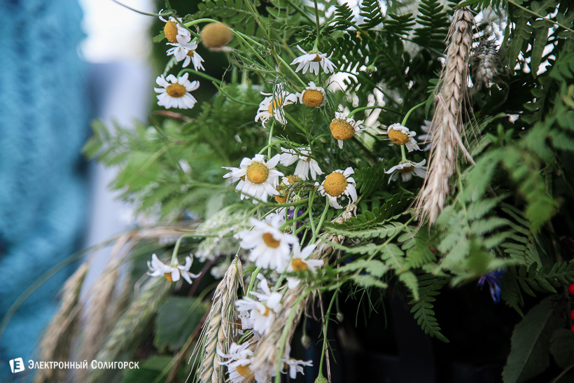 купалье в березке