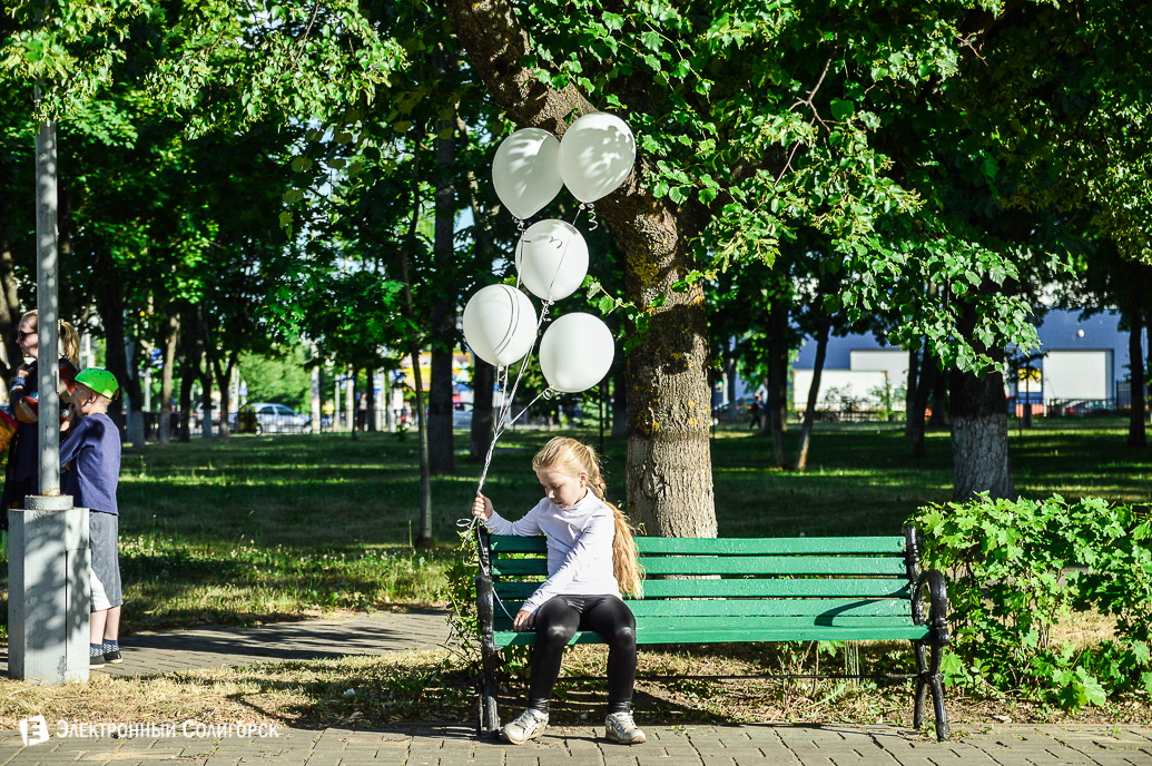 стройтрест пробег