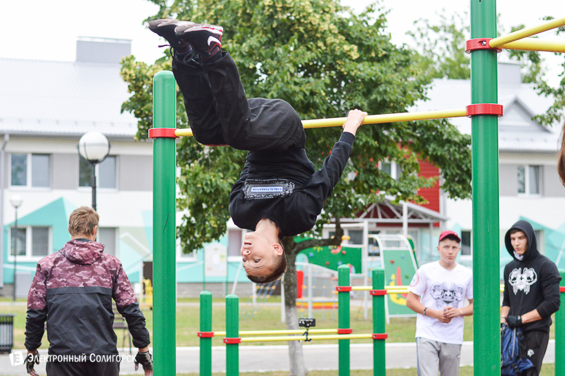 воркаут в дубраве