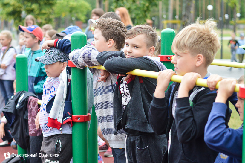 воркаут в дубраве