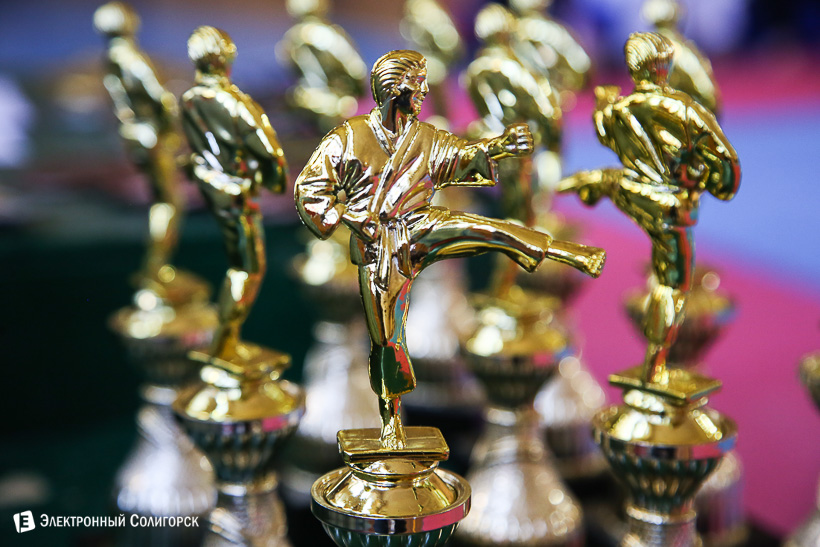 таэквондо Титан Солигорск