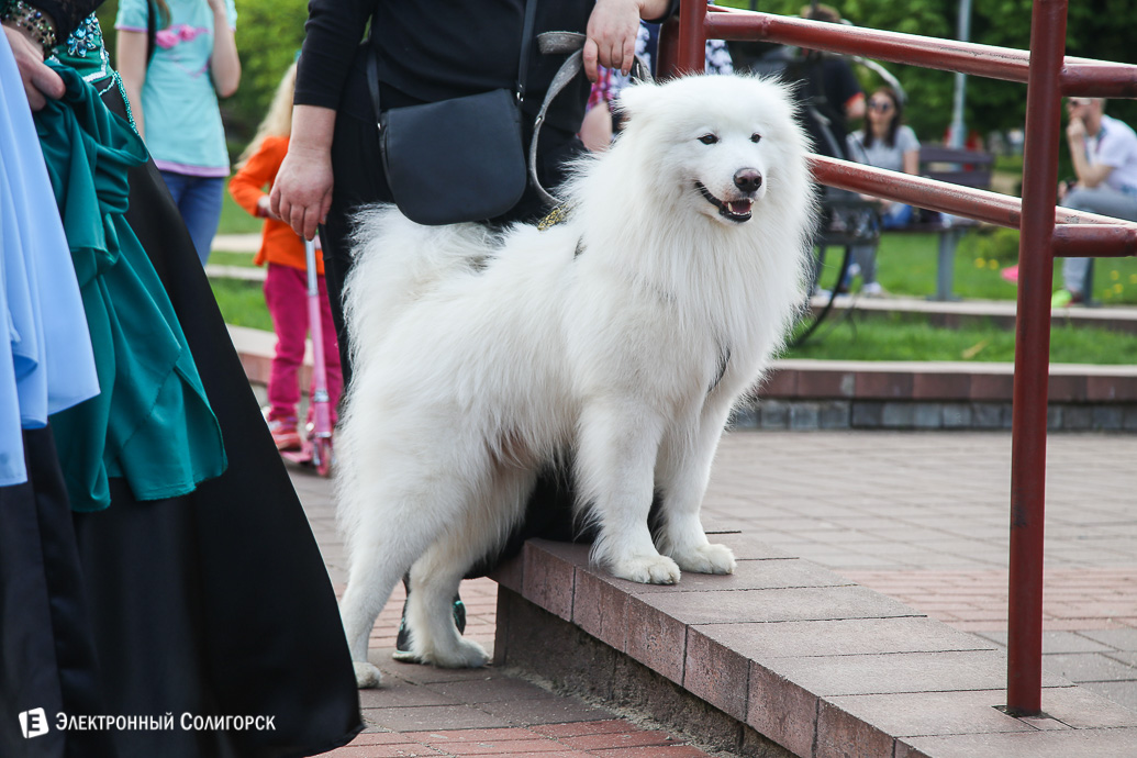 концерт 1 мая