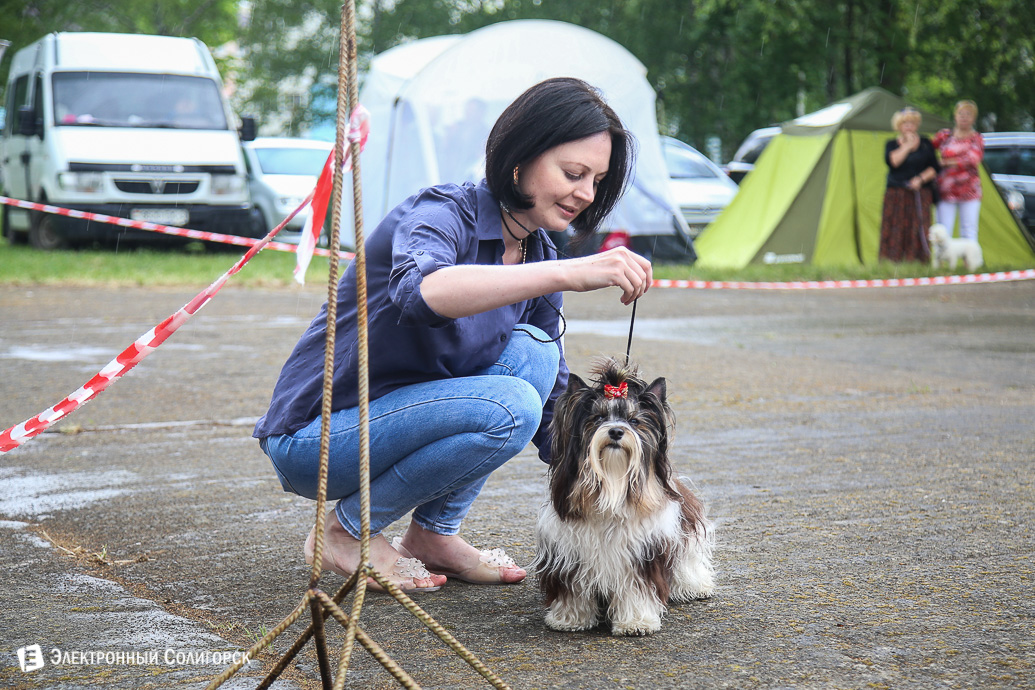 выставка собак Солигорск