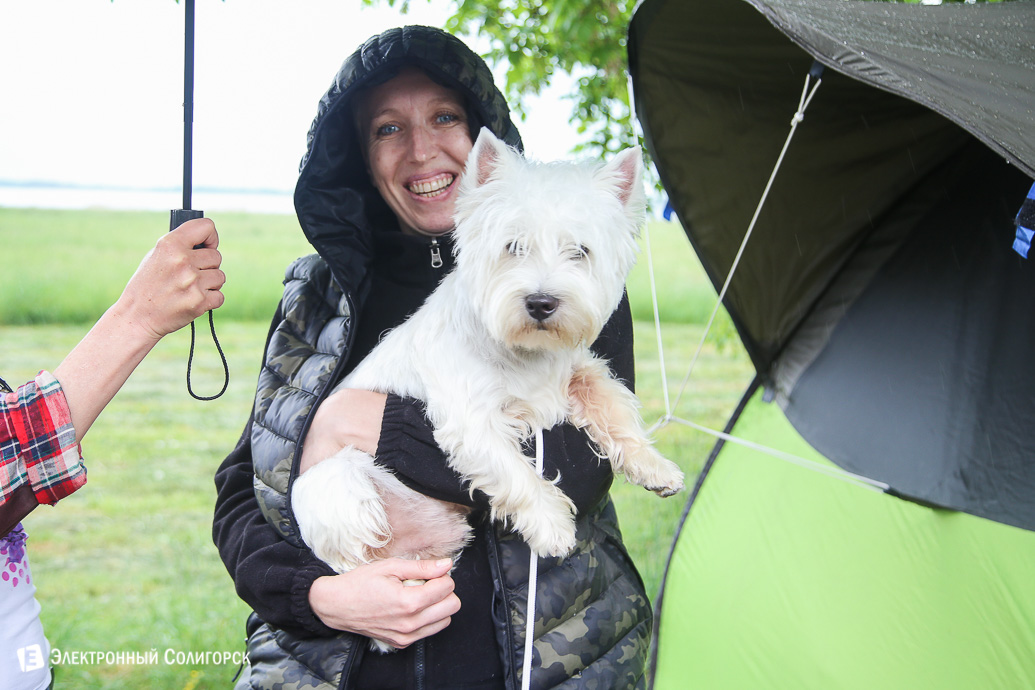 выставка собак Солигорск