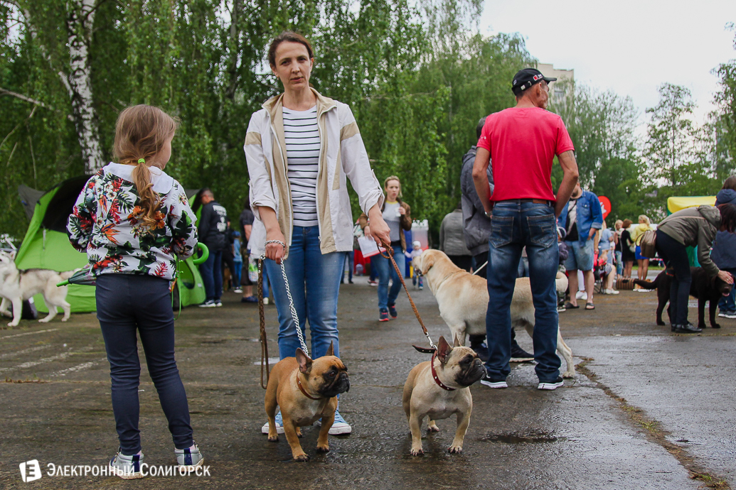 выставка собак Солигорск