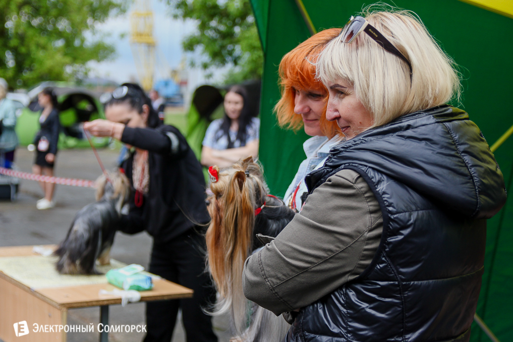 выставка собак Солигорск
