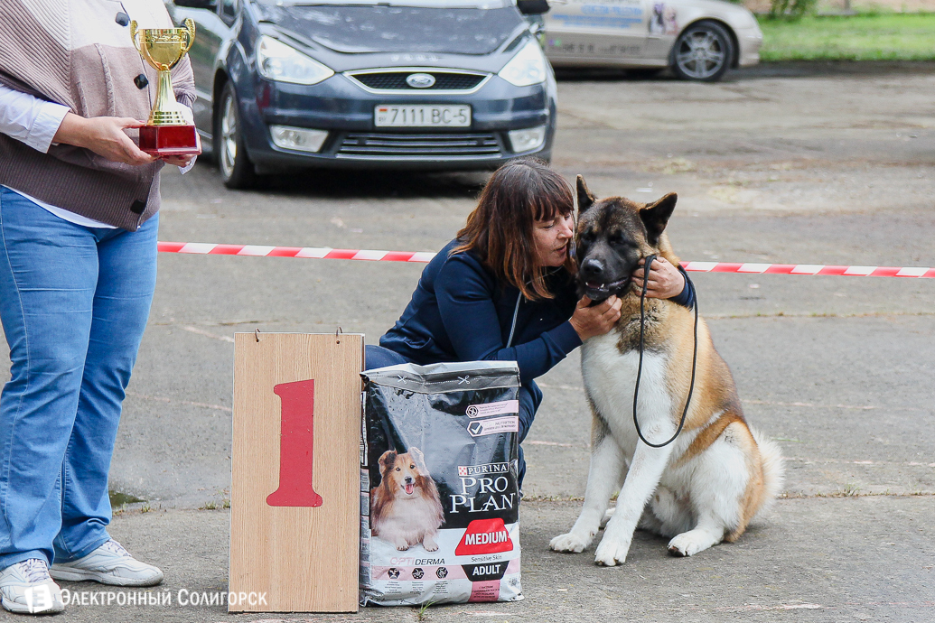 выставка собак Солигорск