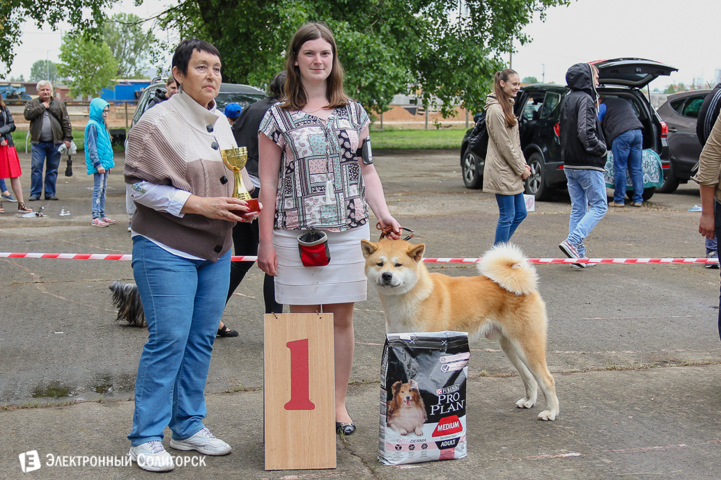 выставка собак Солигорск