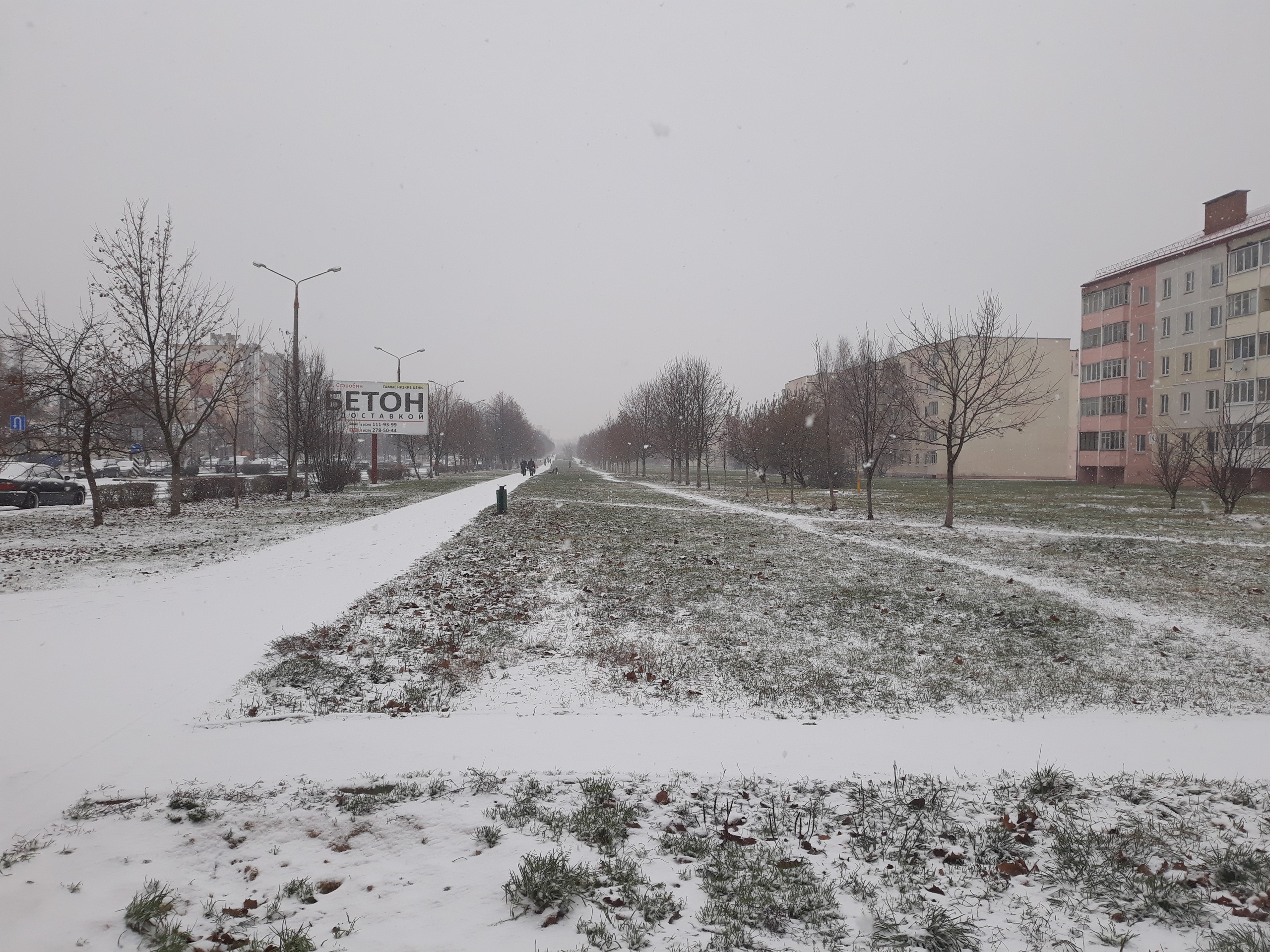 первый снег