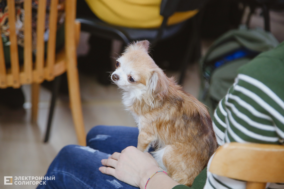 солигорск ссср библиотека
