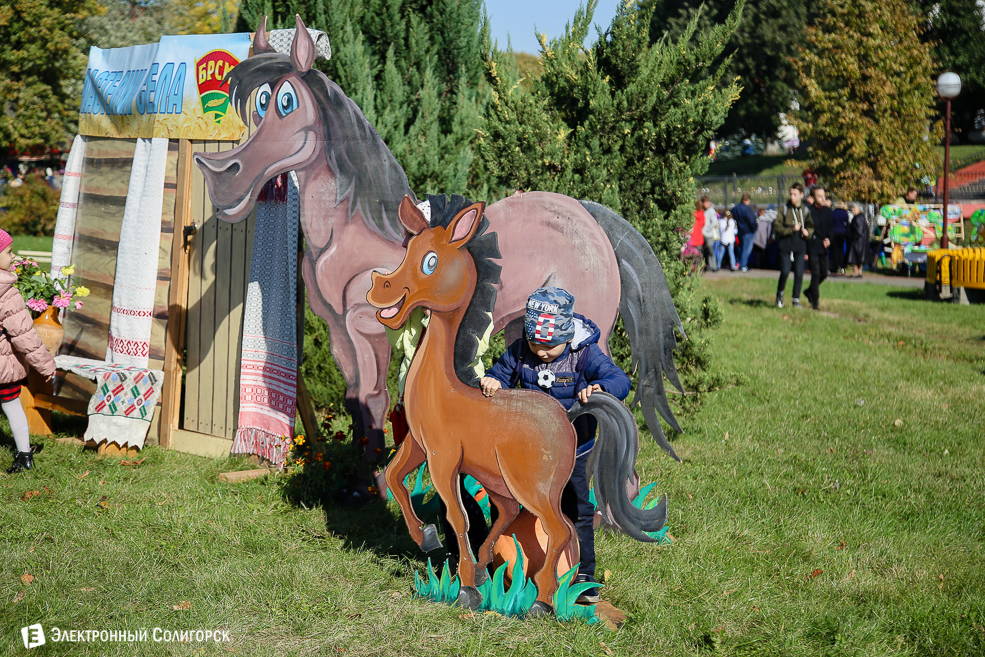 Слуцк праздник 2018