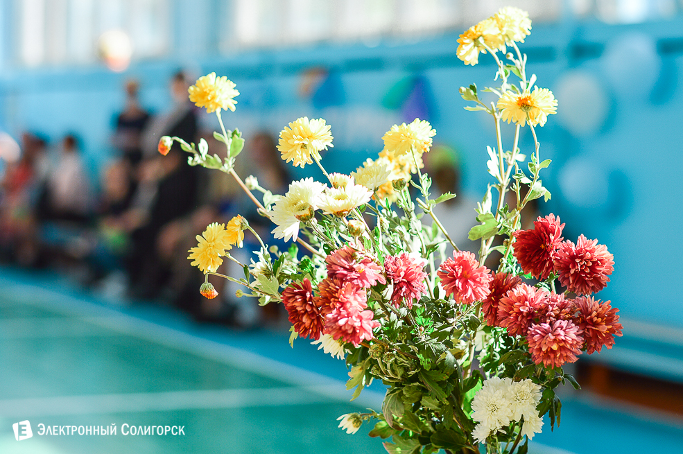 день матери сш1