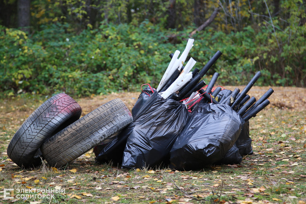 green workout Солигорск