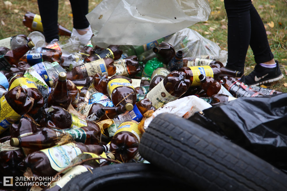 green workout Солигорск