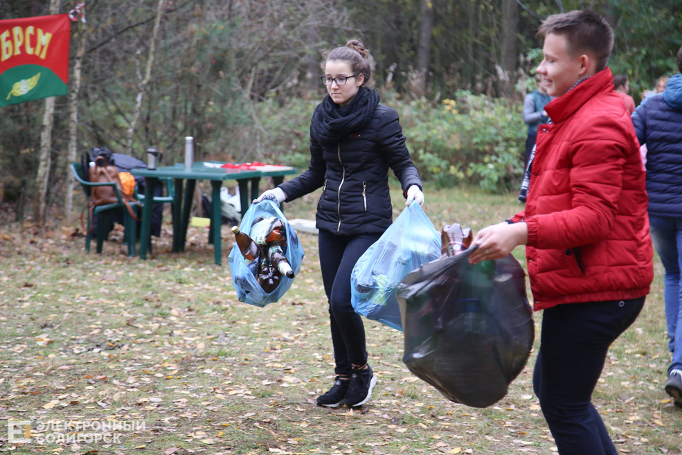 green workout Солигорск