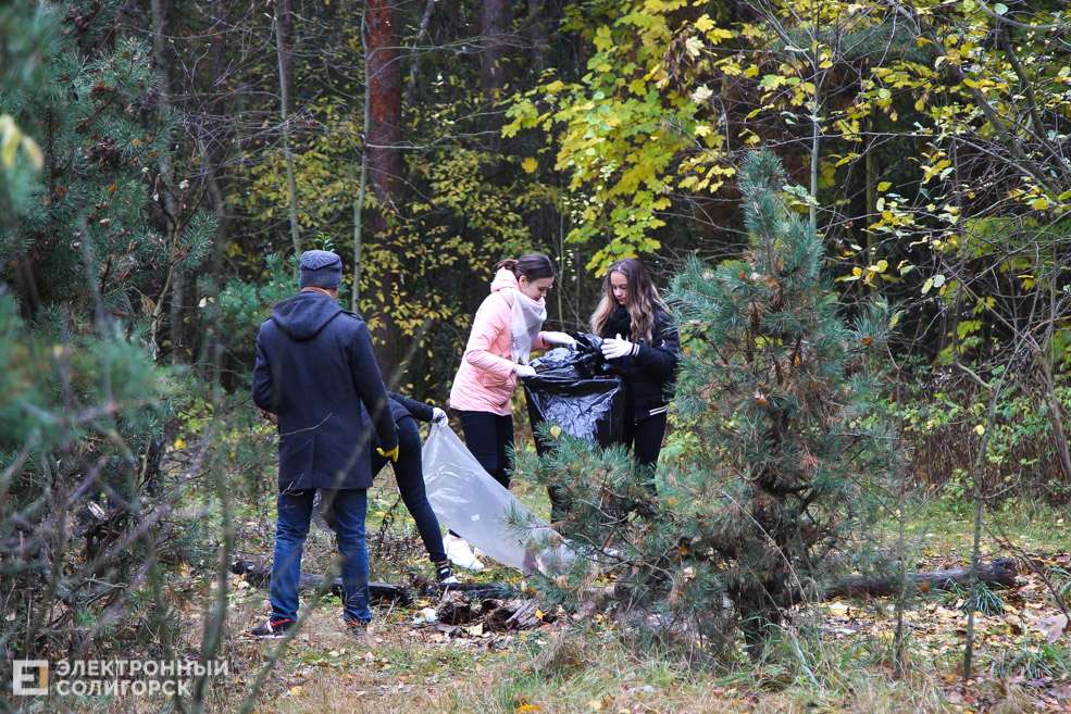 green workout Солигорск