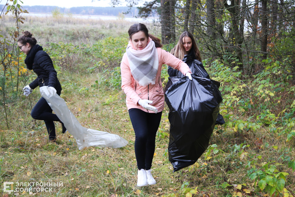 green workout Солигорск