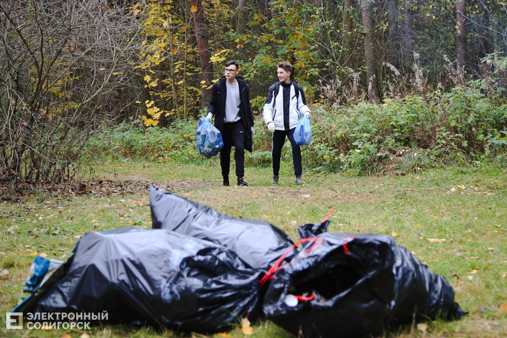 green workout Солигорск