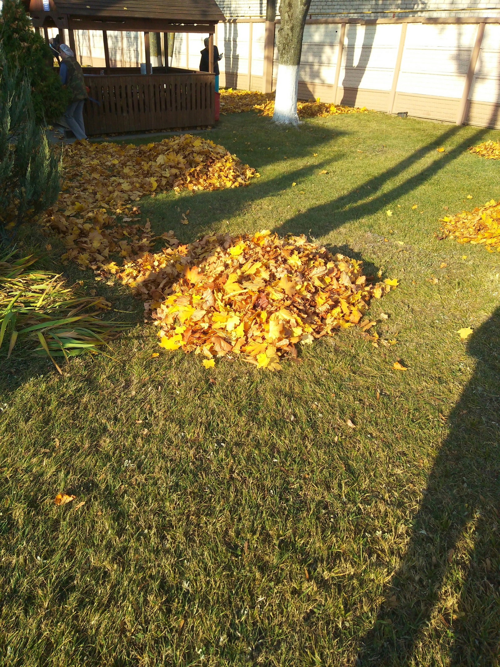 молокозавод субботник Солигорск