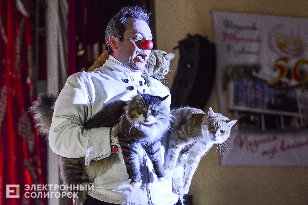театр кошек