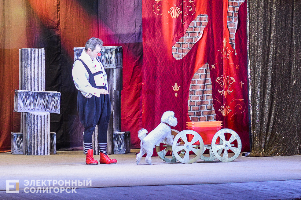 театр кошек