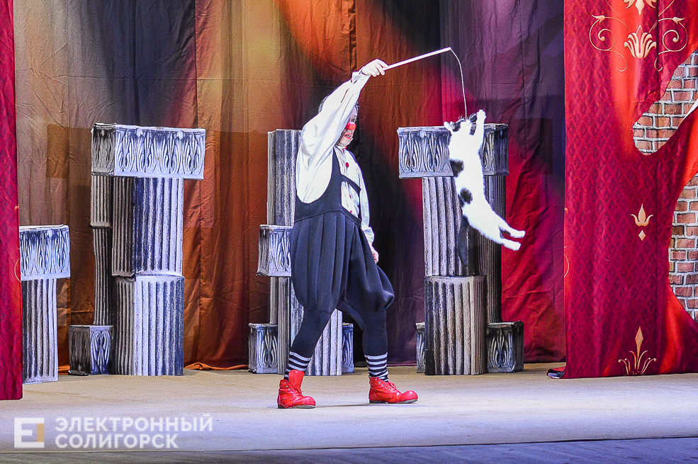 театр кошек