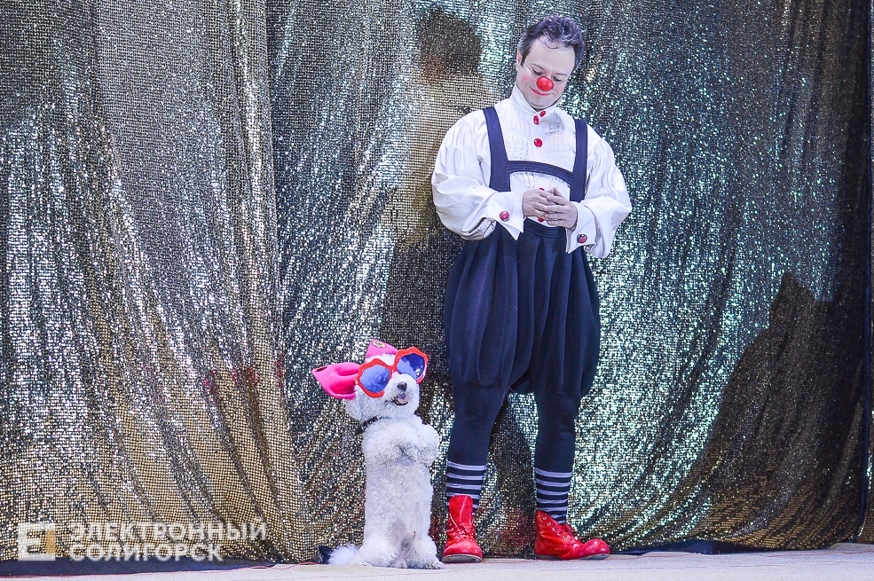 театр кошек