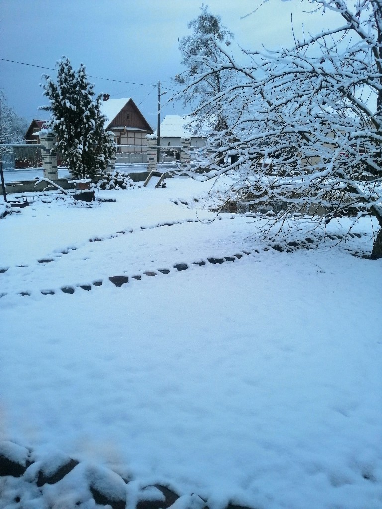 солигорск снег