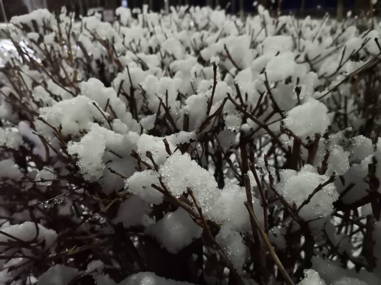 солигорск снег