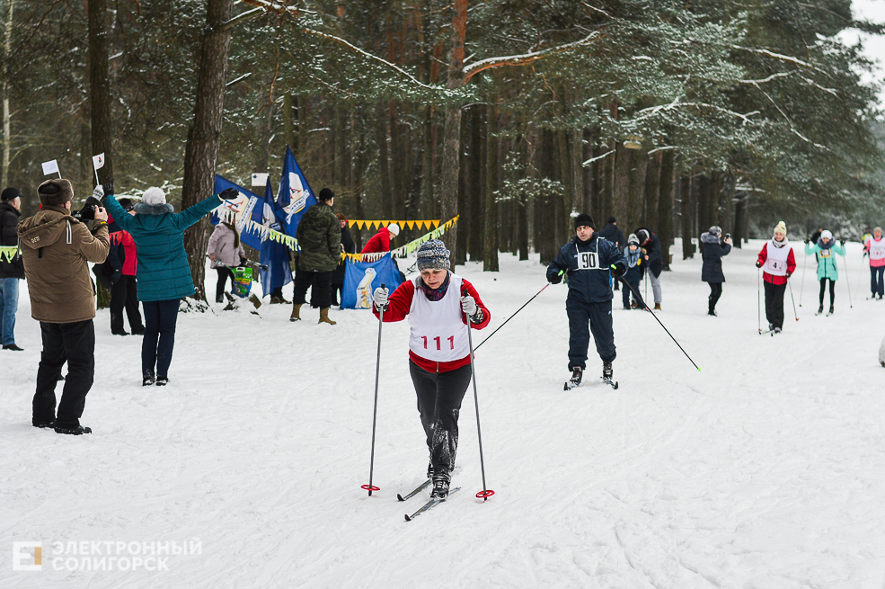 лыжная гонка