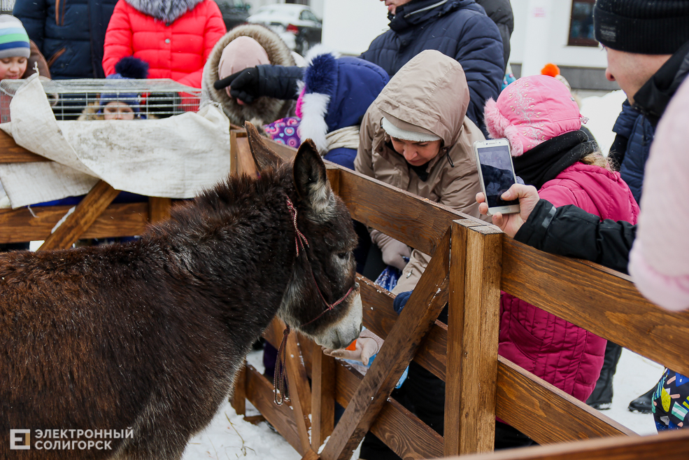 контактный зоопарк Солигорск