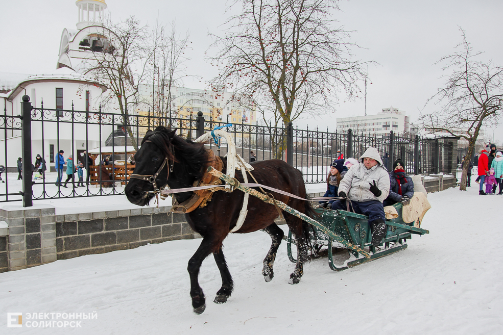 контактный зоопарк Солигорск